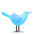 twitter_standing